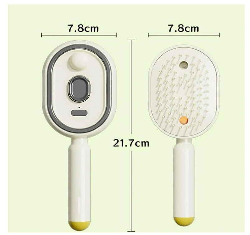 Cordless Steam Straightening Brush